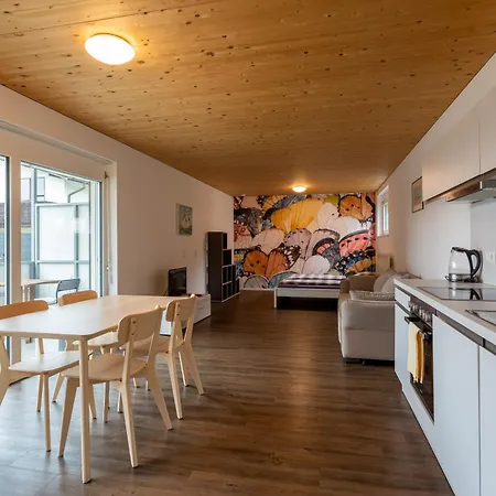Flexhome Your Central, Calm And Cosy Place In Apartment Dornbirn