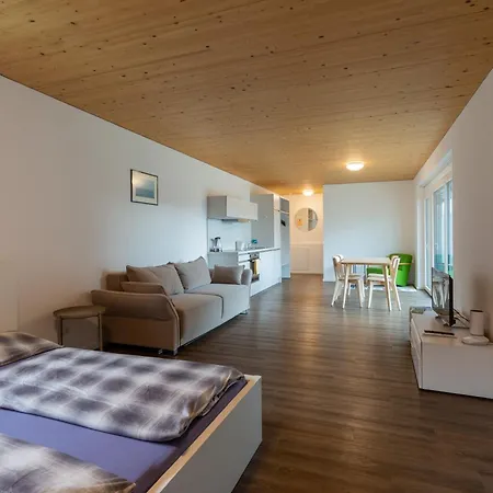 Flexhome Your Central, Calm And Cosy Place In Dornbirn